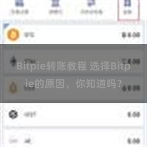 Bitpie转账教程 选择Bitpie的原因，你知道吗？