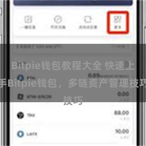 Bitpie钱包教程大全 快速上手Bitpie钱包，多链资产管理技巧