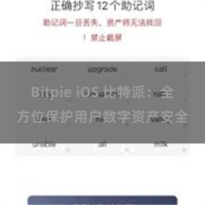 Bitpie iOS 比特派：全方位保护用户数字资产安全