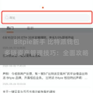 Bitpie新手 比特派钱包多链资产管理技巧：全面攻略