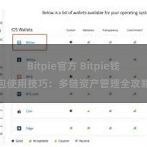 Bitpie官方 Bitpie钱包使用技巧：多链资产管理全攻略