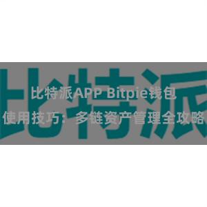 比特派APP Bitpie钱包使用技巧：多链资产管理全攻略