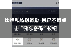 比特派私钥备份  用户不错点击“健忘密码”按钮