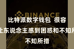 比特派数字钱包  很容易让东说念主感到困惑和不知所措